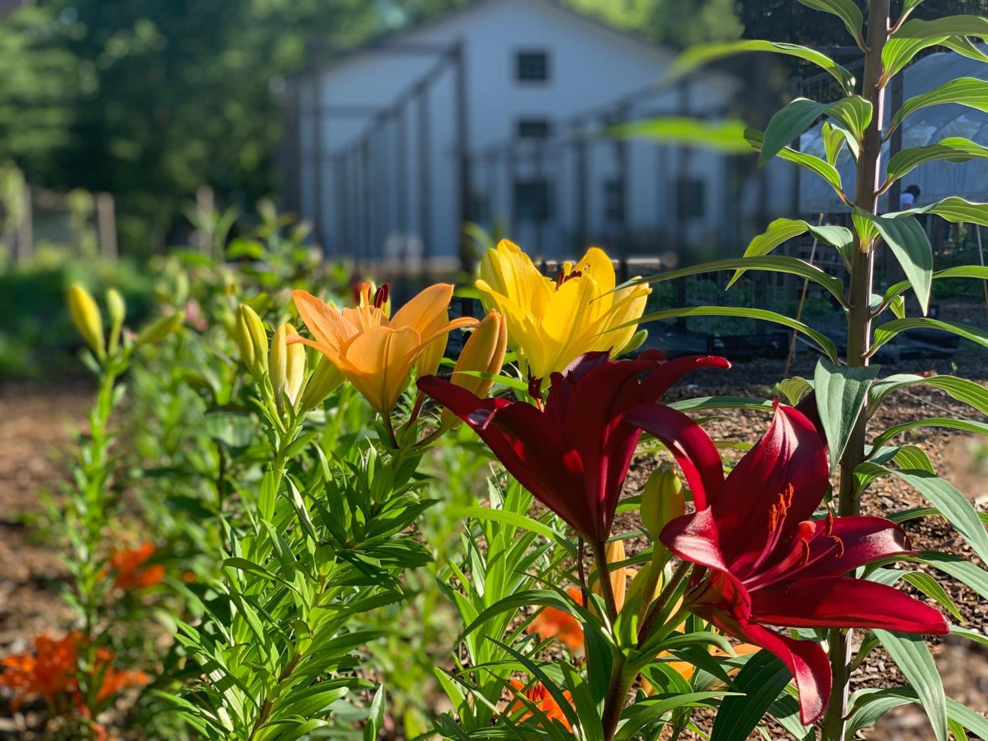 Goldberry Woods- A Modern Farm Resort Union Pier Екстер'єр фото