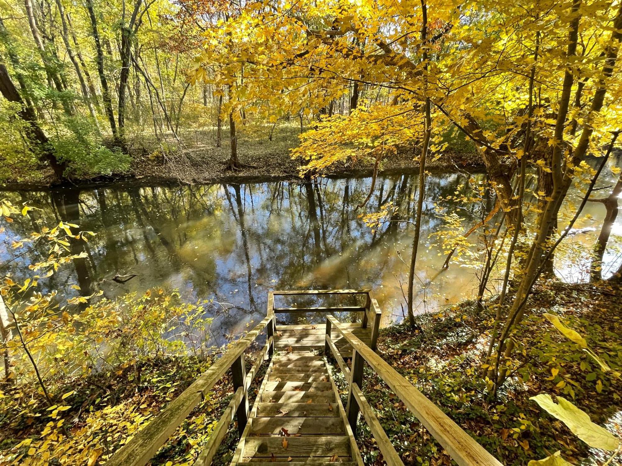 Goldberry Woods- A Modern Farm Resort Union Pier Екстер'єр фото